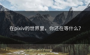 在pixiv的世界里，你还在等什么？