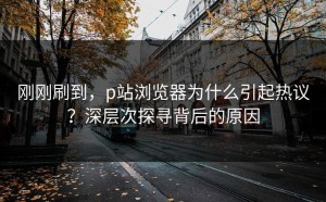 刚刚刷到，p站浏览器为什么引起热议？深层次探寻背后的原因