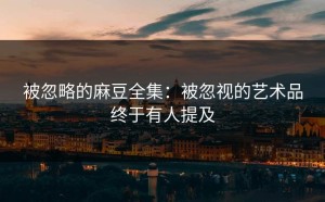 被忽略的麻豆全集：被忽视的艺术品终于有人提及