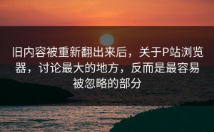 旧内容被重新翻出来后，关于P站浏览器，讨论最大的地方，反而是最容易被忽略的部分