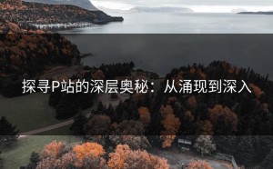 探寻P站的深层奥秘：从涌现到深入