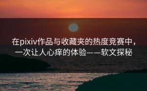 在pixiv作品与收藏夹的热度竞赛中，一次让人心痒的体验——软文探秘