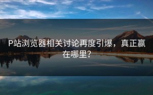 P站浏览器相关讨论再度引爆，真正赢在哪里？