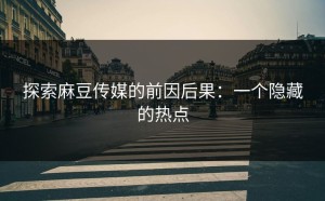 探索麻豆传媒的前因后果：一个隐藏的热点