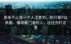 原来不止我一个人注意到，别只看P站表面，懂得看门道的人，往往先盯这里