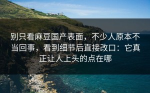 别只看麻豆国产表面，不少人原本不当回事，看到细节后直接改口：它真正让人上头的点在哪