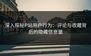 深入探秘P站用户行为：评论与收藏背后的隐藏信息量