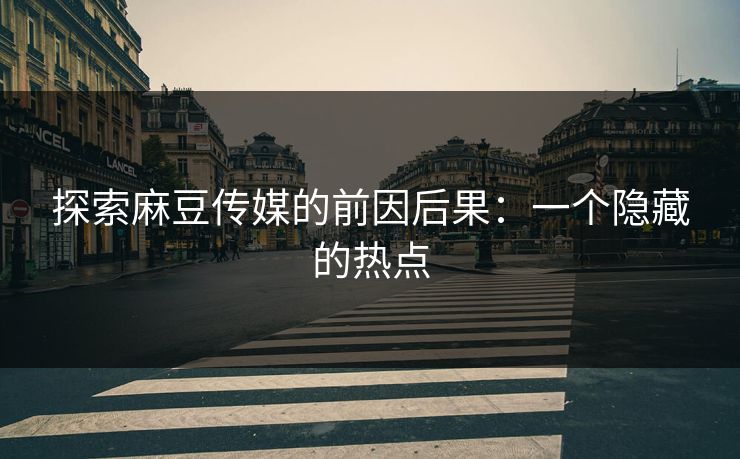 探索麻豆传媒的前因后果：一个隐藏的热点