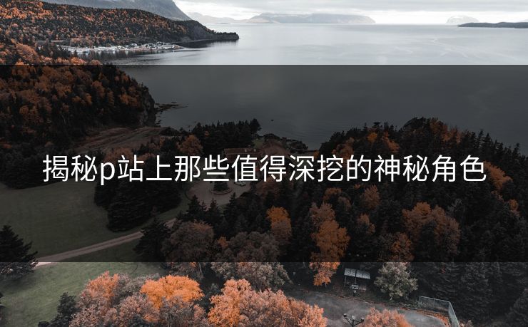 揭秘p站上那些值得深挖的神秘角色