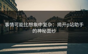 事情可能比想象中复杂：揭开p站助手的神秘面纱