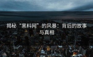 揭秘“黑料网”的风暴：背后的故事与真相