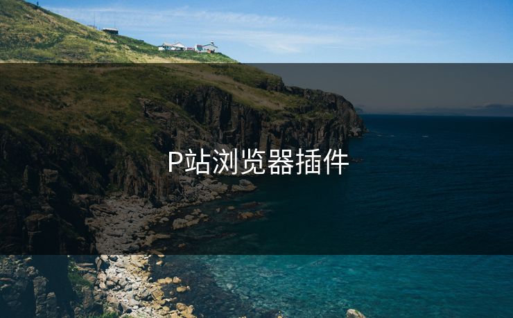 P站浏览器插件